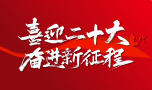 黨的二十大金句海報